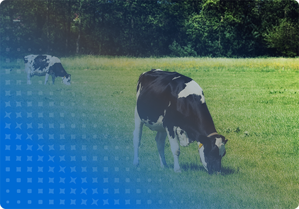 Animal Health